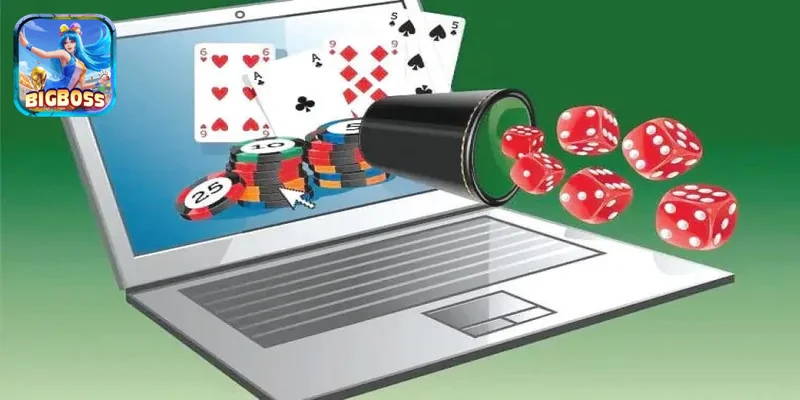 Dịch vụ chăm sóc khách hàng chuyên nghiệp tại Bigboss