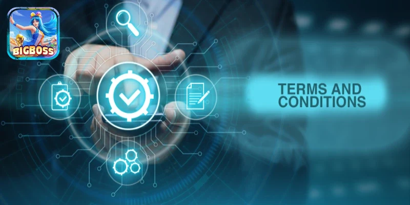 Giao diện điều khoản điều kiện của nền tảng cá cược trực tuyến