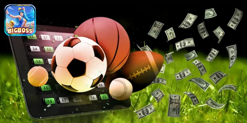 khuyến mãi hấp dẫn cho người chơi thể thao