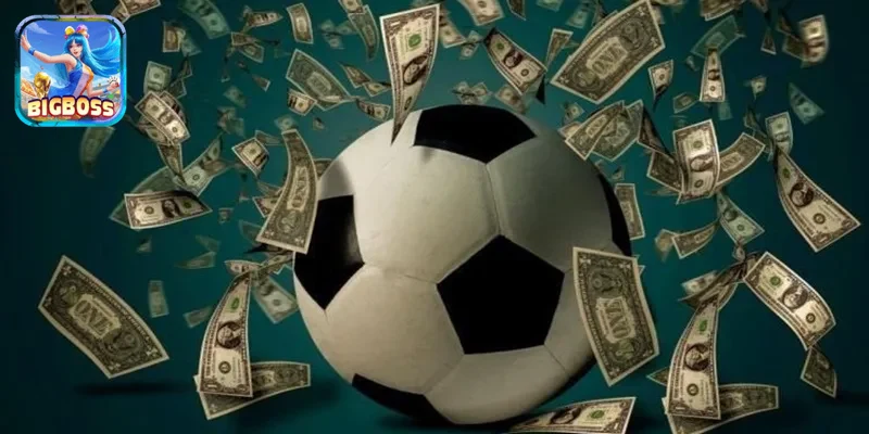 trải nghiệm người chơi thể thao đa dạng